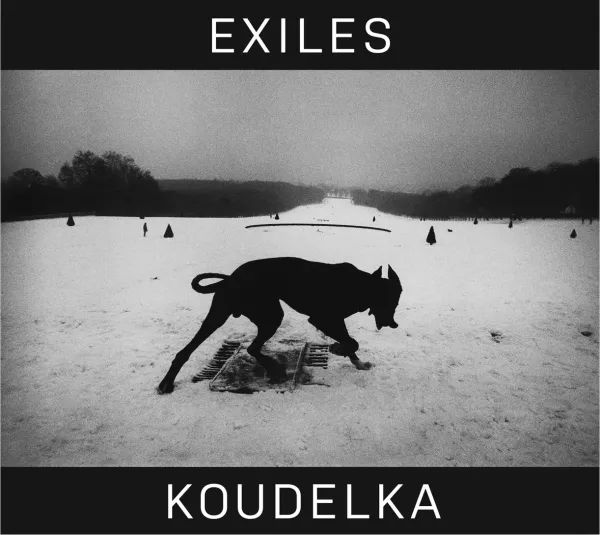 Cover of Exiles