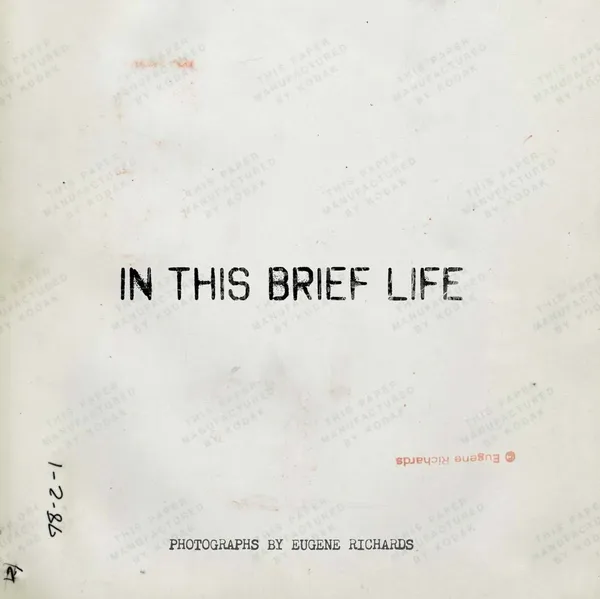 Cover of In This Brief Life