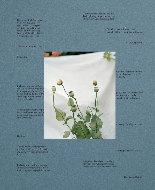 Cover of Poppy Promises